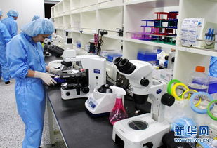 探访韩国克隆工厂 走进秀岩生命工学研究所的科技与伦理边界